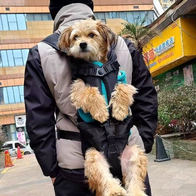 homme porte chien dans sac a dos pour chien ville