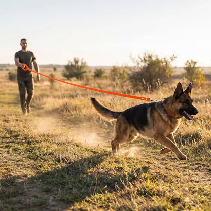 homme promenade berger allemand longe pour chien orange terrain vague
