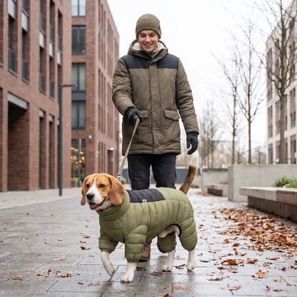 homme promene beagle avec manteau chien vert zone urbaine