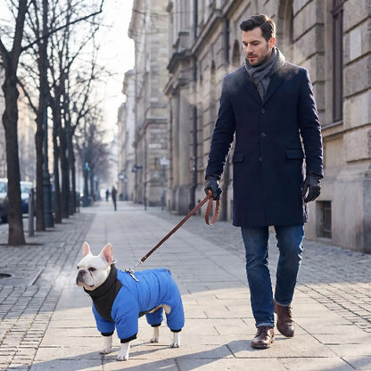homme promene bouledogue francais portant manteau pour chien ville hiver