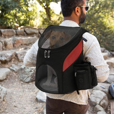 homme promene chien dans sac a dos chien noir
