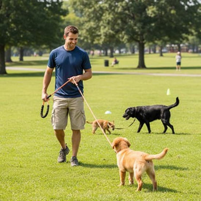 homme promene chien parc avec longe pour chien orange