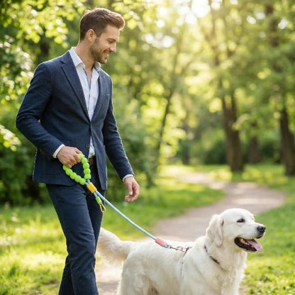 homme promene chien parc laisse chien bleu
