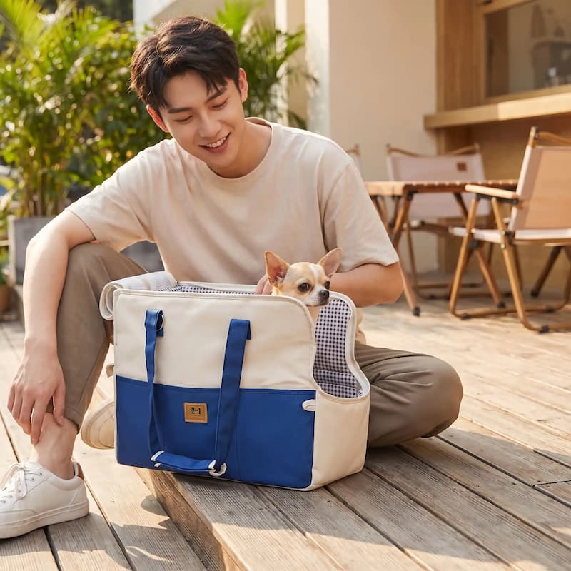 homme souriant caresse chihuahua sac pour transporter chien bleu