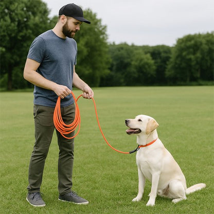 homme tenant longe pour chien orange sur labrador assis
