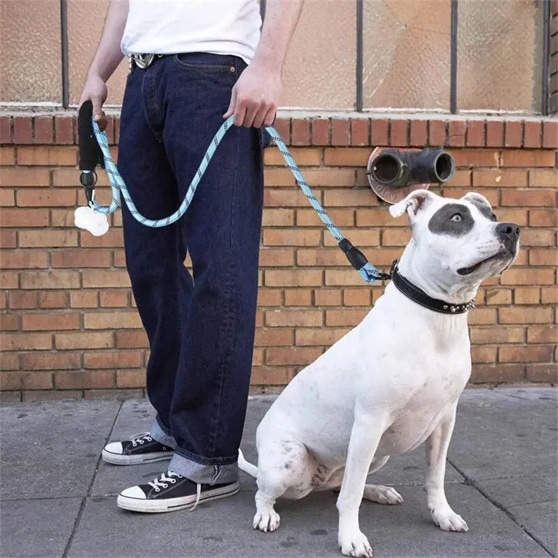 homme tient chien assis trottoir avec laisse chien bleu nylon