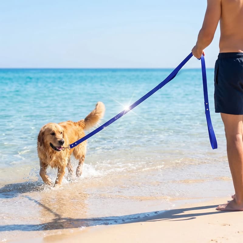 homme tient en longe pour chien bleu golden jouant eau
