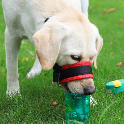 labrador s hydrate avec museliere rouge