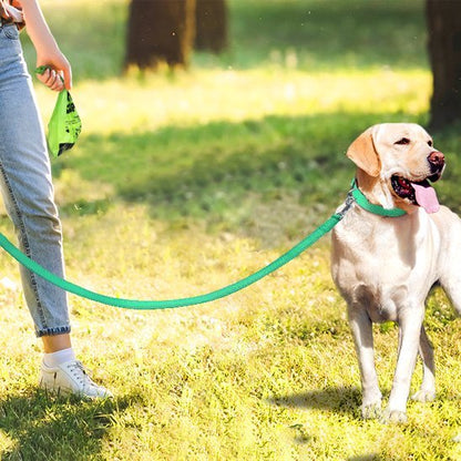 labrador se promene en foret laisse pour chien turquoise