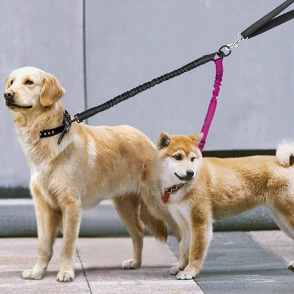 laisse double pour chien rose sur shiba et golden