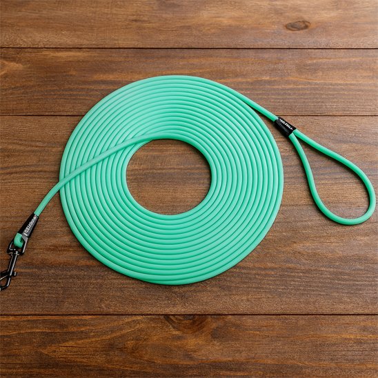 longe pour chien turquoise sur sol en bois