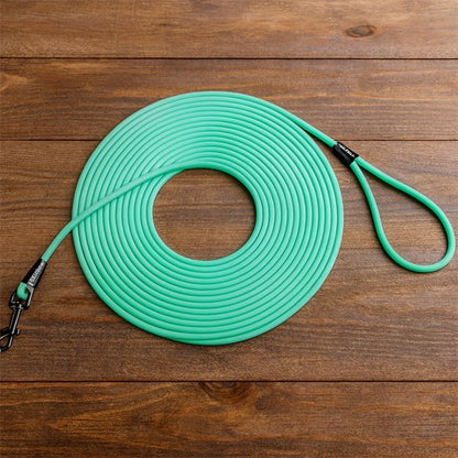 longe pour chien turquoise sur sol en bois