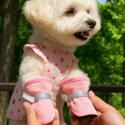 mains tenant bichon portant chaussures pour chien rose et vêtement