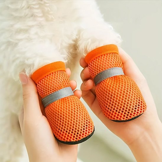 mains tenant pattes chien portant chaussures pour chien orange
