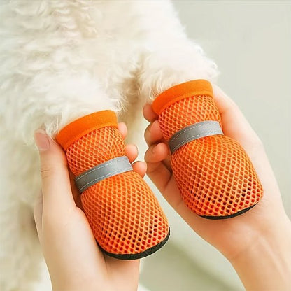 mains tenant pattes chien portant chaussures pour chien orange