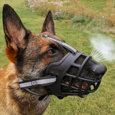 malinois de profil avec museliere chien noir respirante