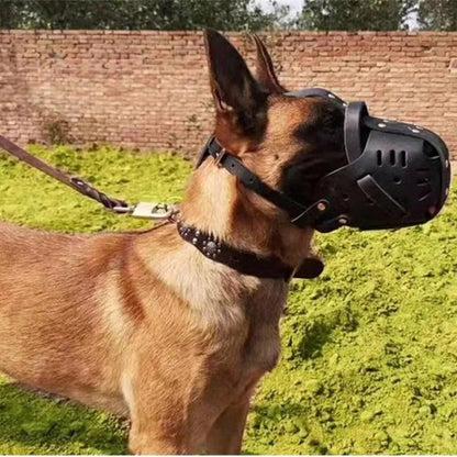 malinois de profil avec museliere cuir