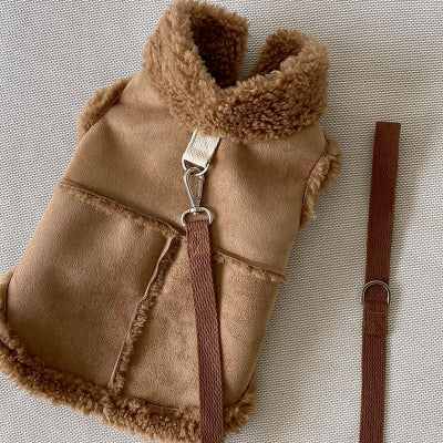 manteau chien marron avec anneau dorsal et laisse assortie