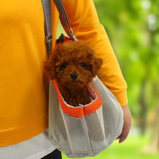 personne portant caniche sac de transport chien sur épaule