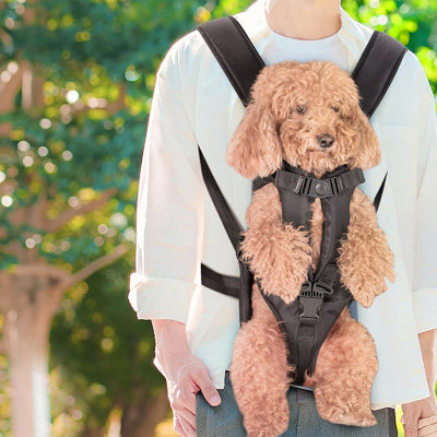 personne porte caniche sur ventre sac a dos pour chien