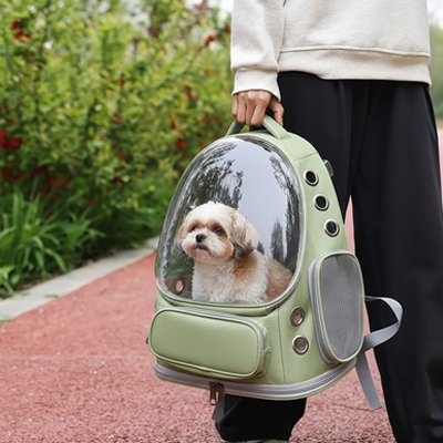 personne tient sac a dos pour chien avec chien dedans