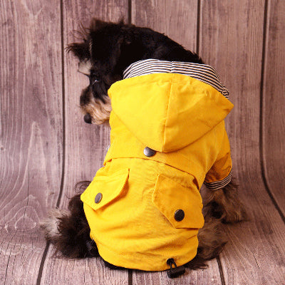 petit chien assis de dos avec imperméable chien jaune
