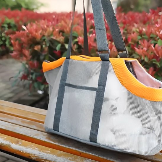 petit chien blanc sac de transport chien sur banc
