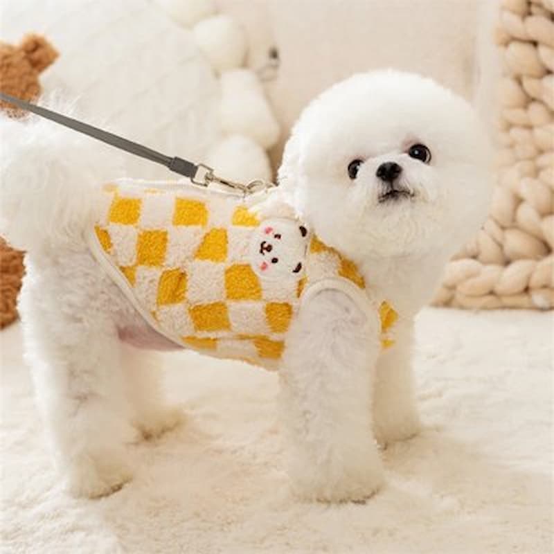 petit chien portant pull chien motif damier jaune laisse accrochée