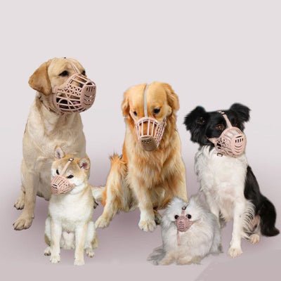 plusieurs chiens avec museliere chien rose