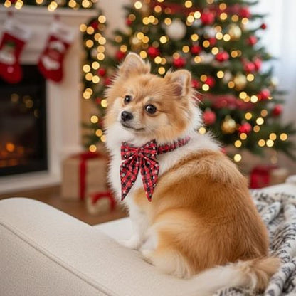 poméranien collier chien nœud carreaux et flocons devant sapin noël