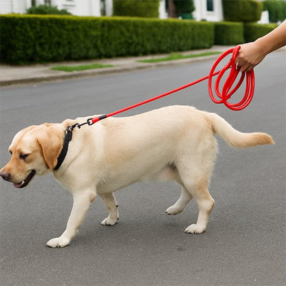 Promenade labrador longe pour chien rouge lotissement