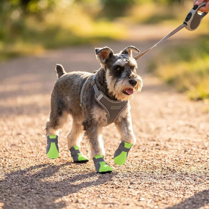 promenade schnauzer gravier portant chaussure chien vert fluo