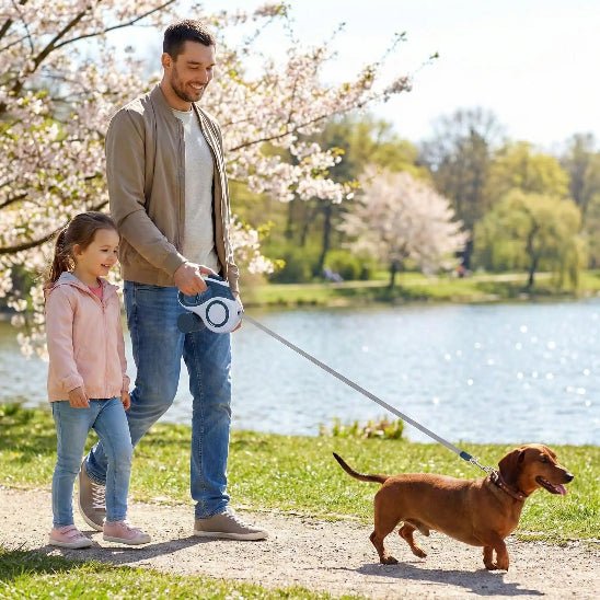 promenade teckel lac homme fille laisse pour chien enrouleur bleu