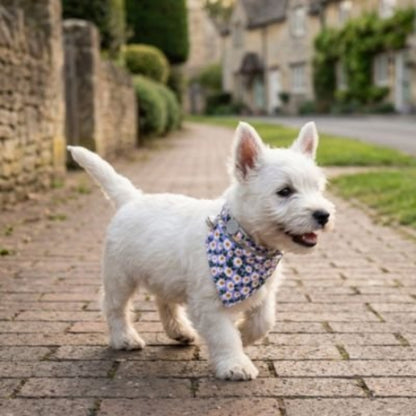promenade village westie blanc avec bandana pour chien fleuri violet 