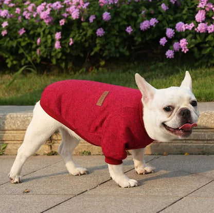 pull chien bordeaux sur bouledogue francais debout devant fleurs 