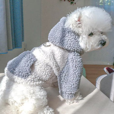 pull chien gris sur petit chien blanc assis