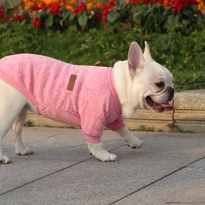 pull chien rose sur bouledogue francais debout dehors