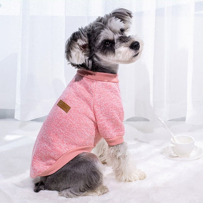 pull chien | Confortable et Chaud