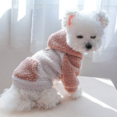 pull chien rose sur chien blanc assis de profil