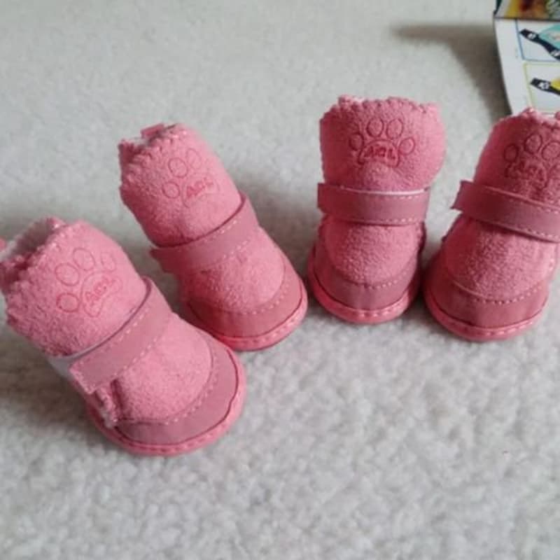 quatre chaussure chiens rose sur moquette blanche