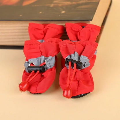 quatre chaussure chiens rouge cordon de serrage réglable