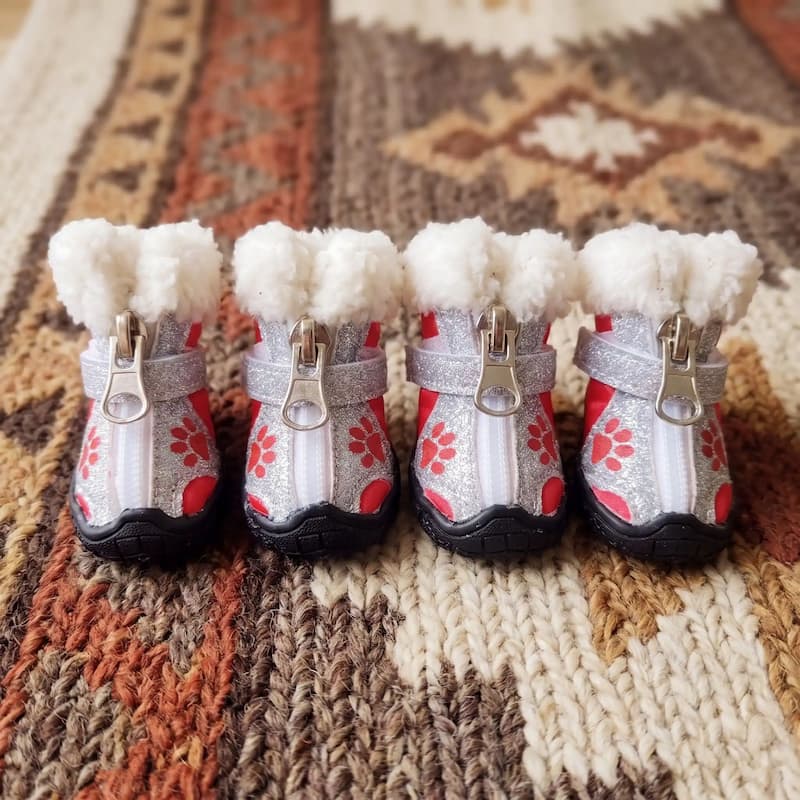 quatre chaussure pour chien rouge pailletées alignées sur tapis