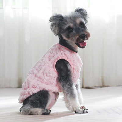 schnauzer assis de profil portant pull chien rose