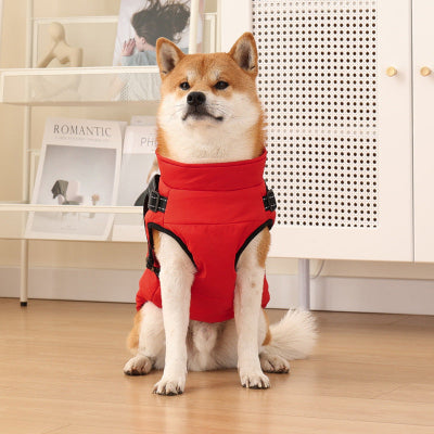 shiba assis avec manteau pour chien rouge
