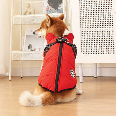 shiba assis de dos avec manteau pour chien rouge