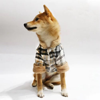 shiba assis de face avec manteau pour chien a carreaux