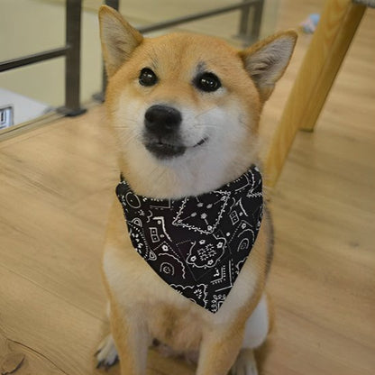 shiba avec bandana chien noir assis sur parquet