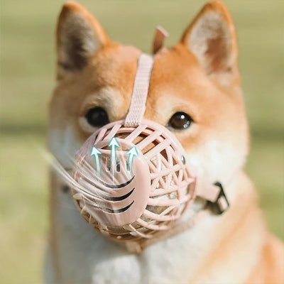 shiba avec museliere chien rose respirante et legere