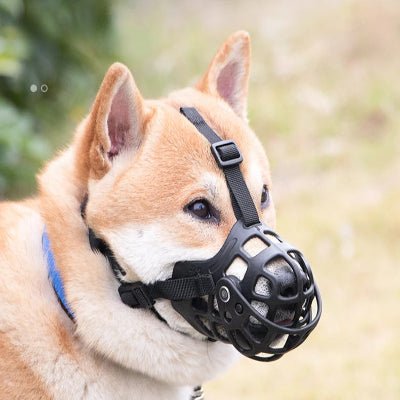 shiba avec museliere silicone souple noir