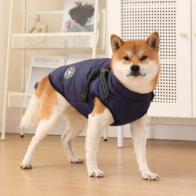 shiba debout avec manteau pour chien bleu